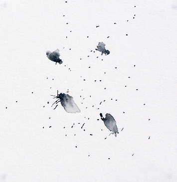 Fly Haiku Illustration