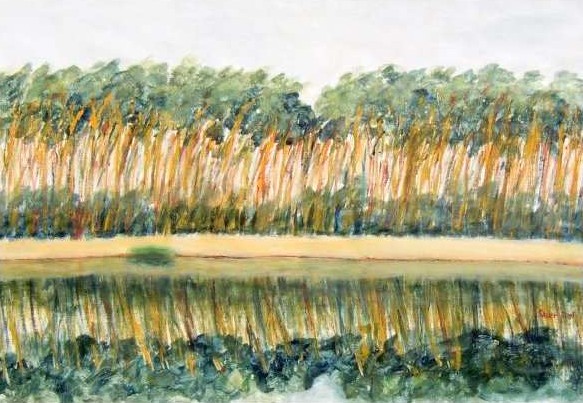 Pine Forest on the Shore of a Lake 1.html